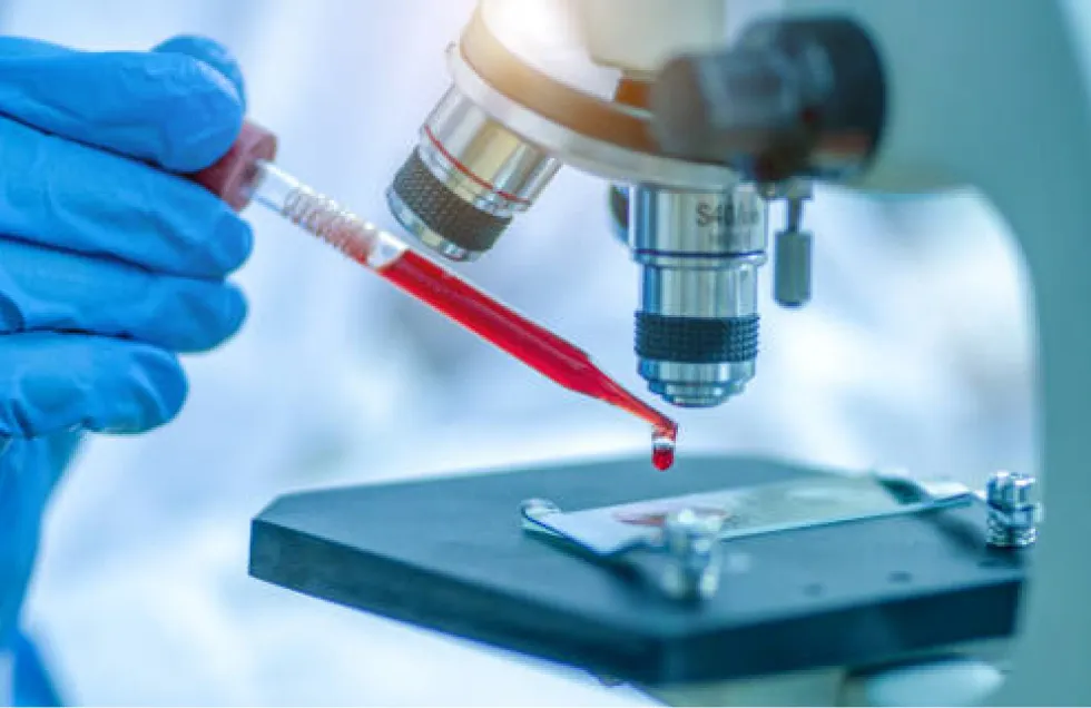 Upright Microscopes